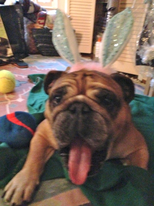 Thank you to everyone for reading my blog! Up to 750 in two weeks....please keep coming back and sign up to get notified when I post! Much more fun to come I promise!!